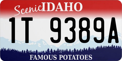 ID license plate 1T9389A