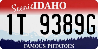 ID license plate 1T9389G