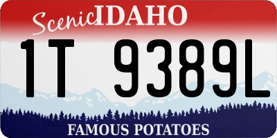 ID license plate 1T9389L