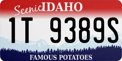 ID license plate 1T9389S