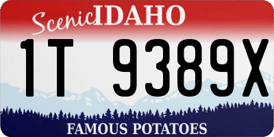 ID license plate 1T9389X