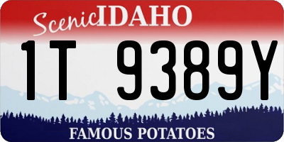ID license plate 1T9389Y
