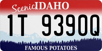 ID license plate 1T9390Q