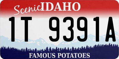 ID license plate 1T9391A