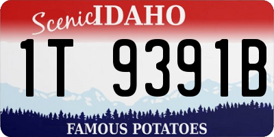 ID license plate 1T9391B