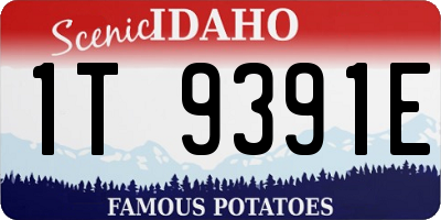 ID license plate 1T9391E