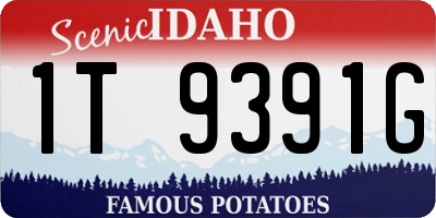 ID license plate 1T9391G