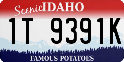 ID license plate 1T9391K