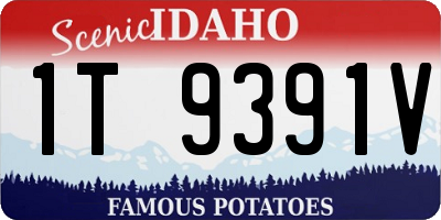 ID license plate 1T9391V