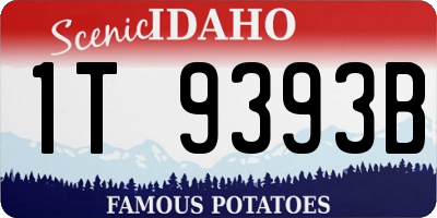 ID license plate 1T9393B