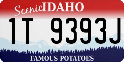 ID license plate 1T9393J