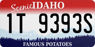ID license plate 1T9393S