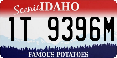 ID license plate 1T9396M