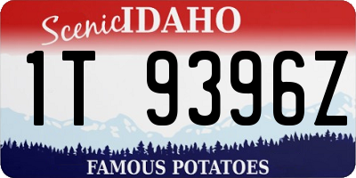 ID license plate 1T9396Z