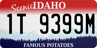 ID license plate 1T9399M