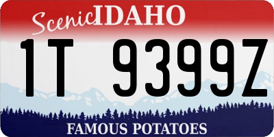ID license plate 1T9399Z