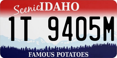 ID license plate 1T9405M