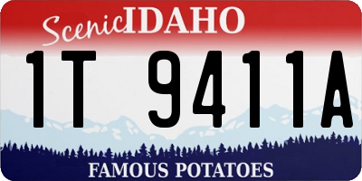ID license plate 1T9411A
