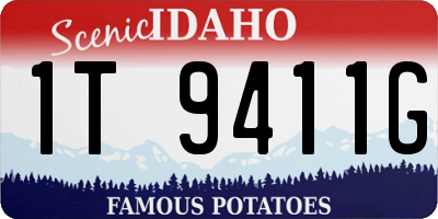 ID license plate 1T9411G