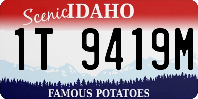ID license plate 1T9419M
