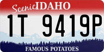 ID license plate 1T9419P