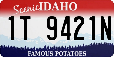 ID license plate 1T9421N