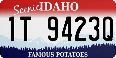 ID license plate 1T9423Q