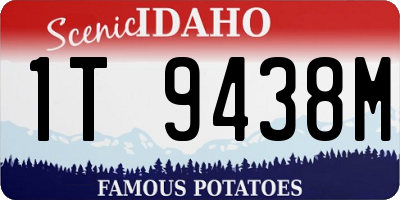 ID license plate 1T9438M
