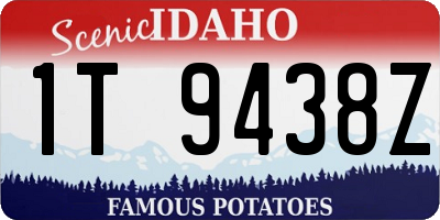 ID license plate 1T9438Z
