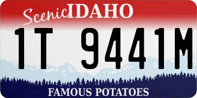 ID license plate 1T9441M