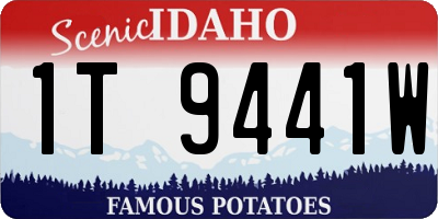 ID license plate 1T9441W