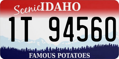 ID license plate 1T9456O