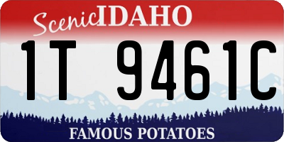 ID license plate 1T9461C