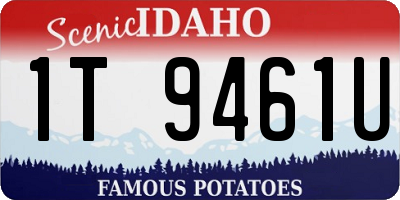 ID license plate 1T9461U