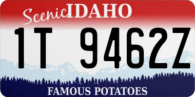 ID license plate 1T9462Z