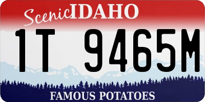 ID license plate 1T9465M