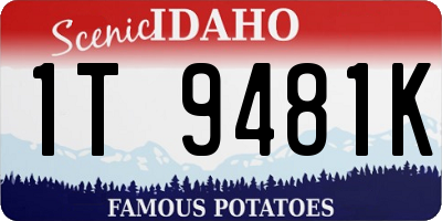 ID license plate 1T9481K
