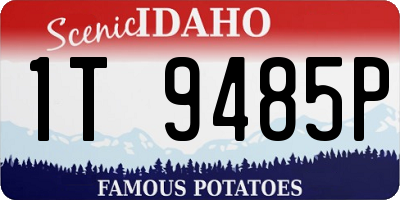 ID license plate 1T9485P