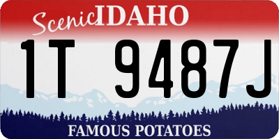 ID license plate 1T9487J
