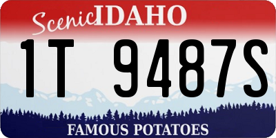 ID license plate 1T9487S