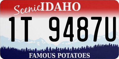 ID license plate 1T9487U