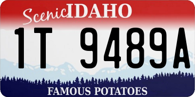 ID license plate 1T9489A