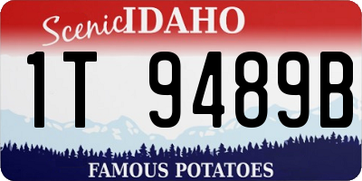 ID license plate 1T9489B