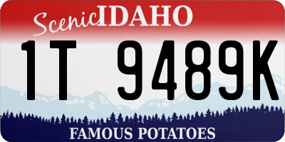 ID license plate 1T9489K