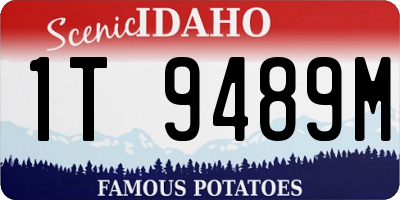 ID license plate 1T9489M
