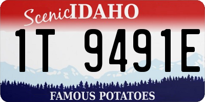 ID license plate 1T9491E