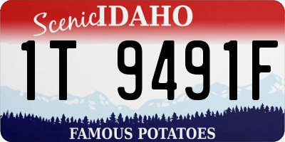 ID license plate 1T9491F