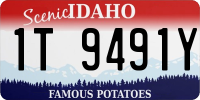 ID license plate 1T9491Y
