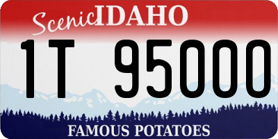 ID license plate 1T9500O