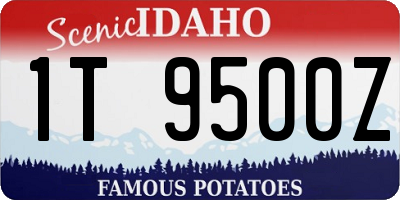 ID license plate 1T9500Z